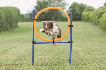 Agility Hoppring Plast 78 x 65 x 115cm