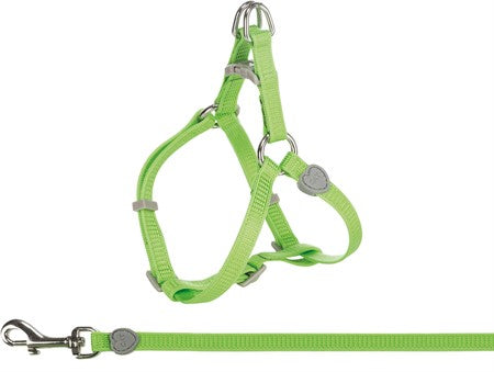 Kattsele + Koppel, 26-37cm