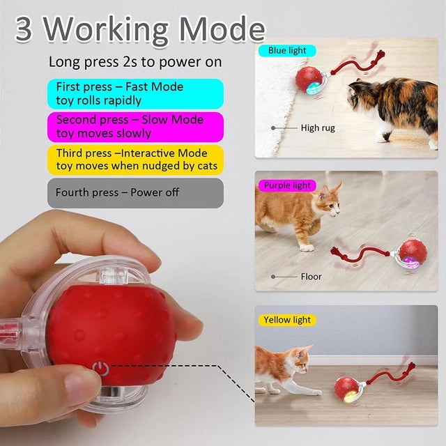 Interactive kattleksak