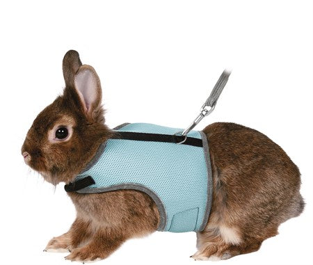 Softsele+koppel, dvrgkanin, 25-32 cm, 1.20m