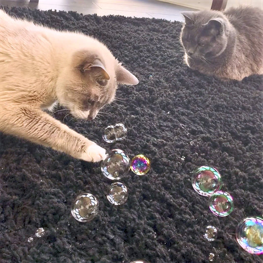Kattvinsbubblor Purrsecco Giftfri kattmynta för katter 118ml