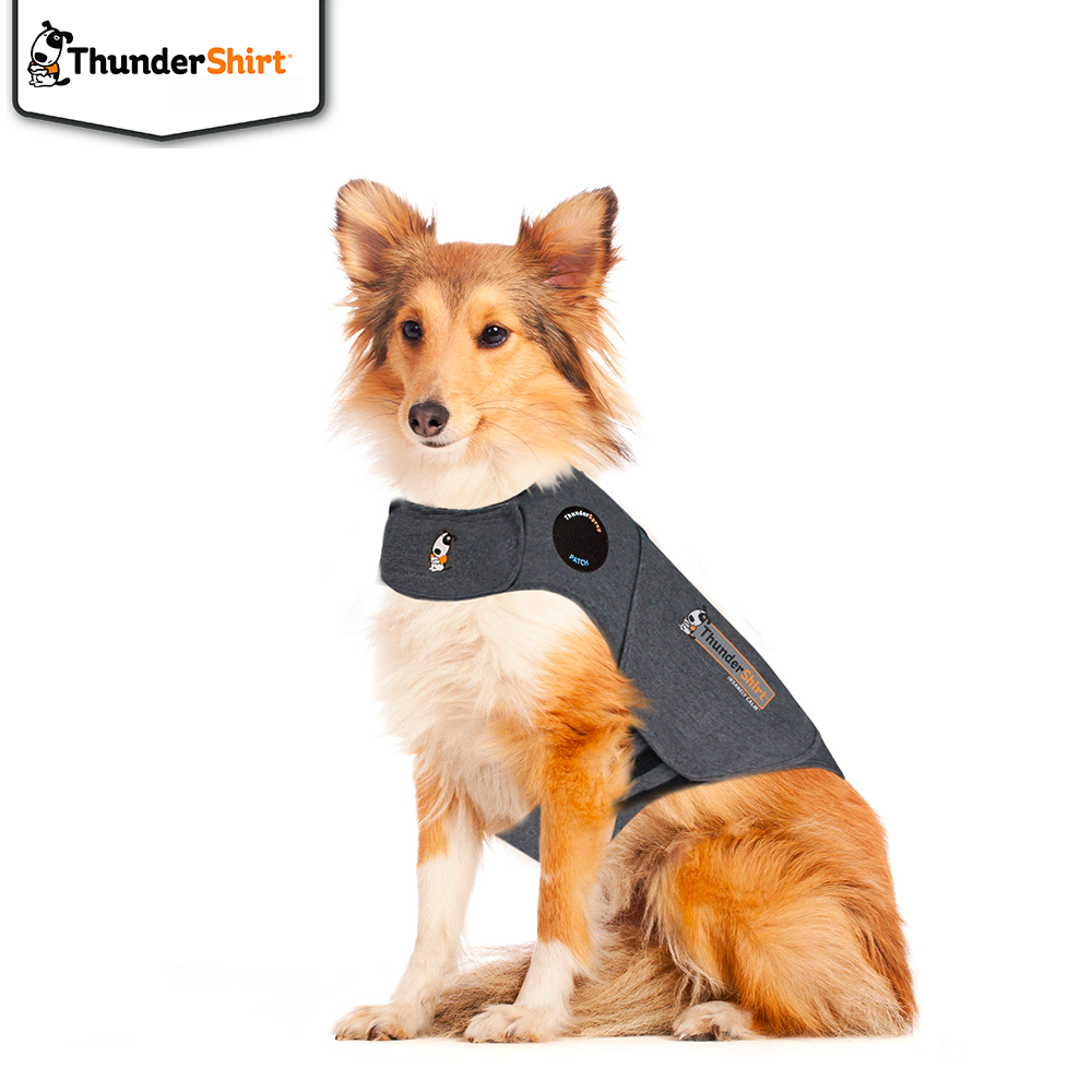 ThunThundershirt Grå L(18-29kg)