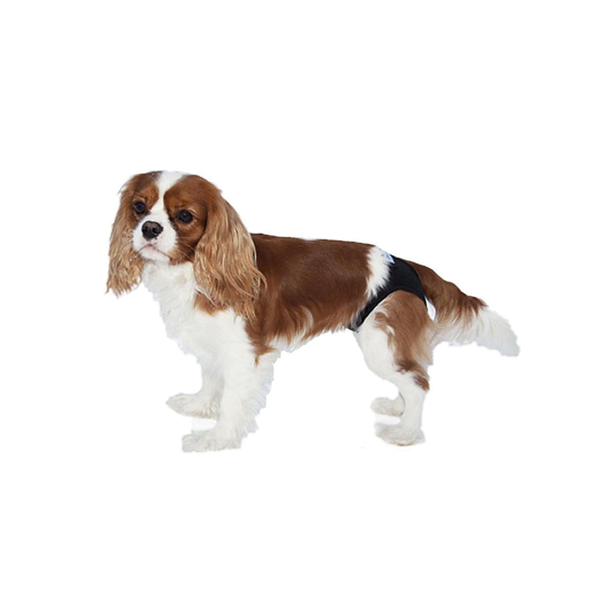 Tikskydd PetNation LadyCover Svart 60cm