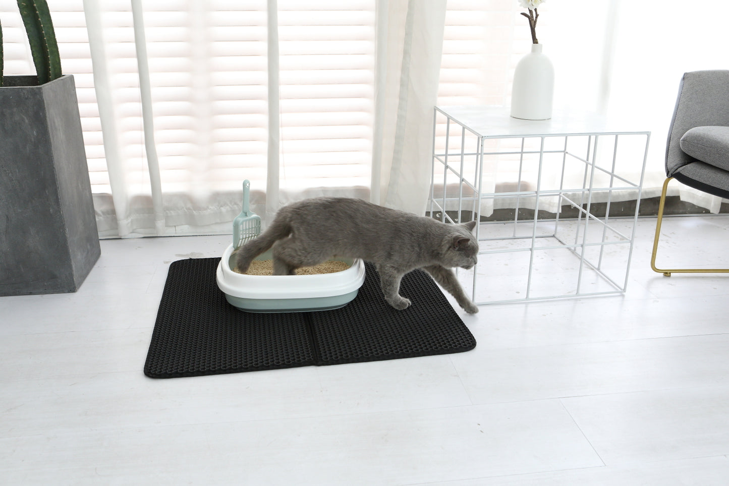 Companion Cat hopfllbar kattldematta