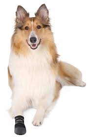 Hundskor Walker care 2-pack