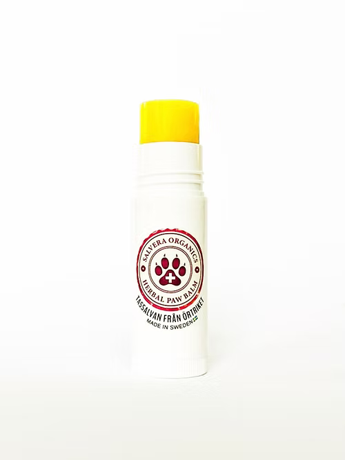 Salvera Tassalva easy apply cerat 6ml