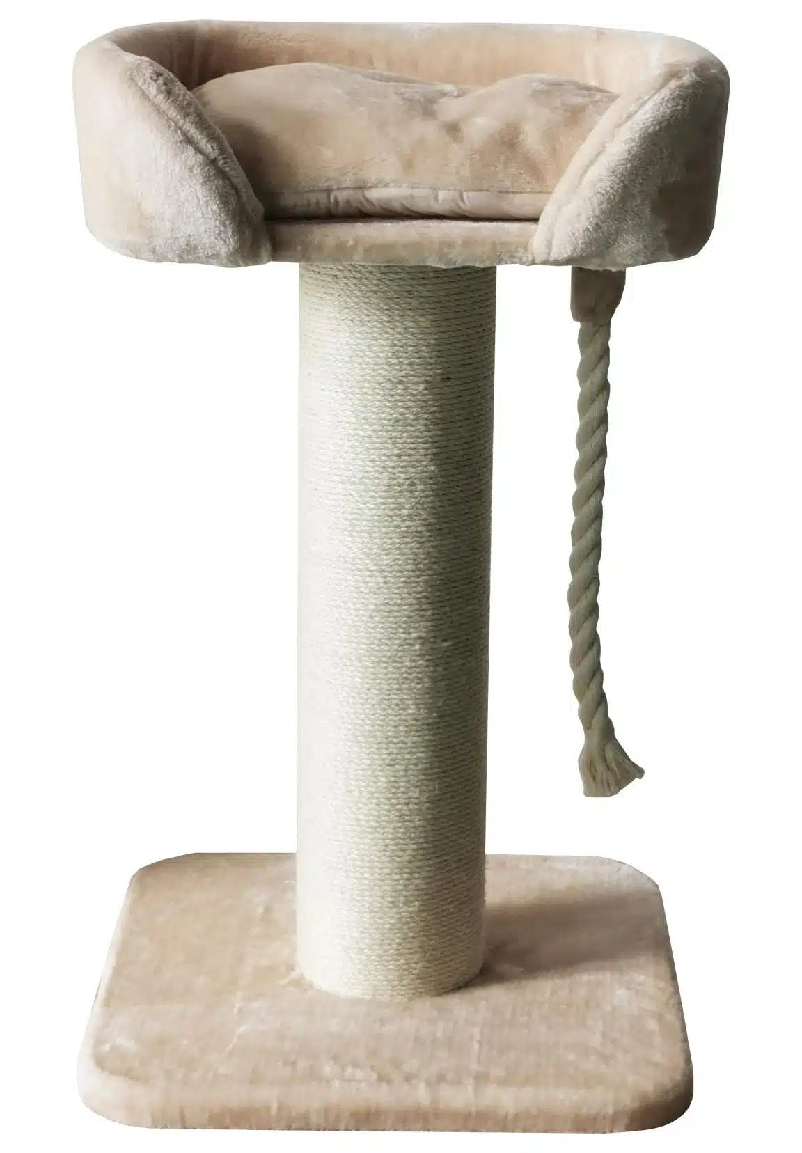 Companion Cat Lion, klösträd 60x60x100 cm S