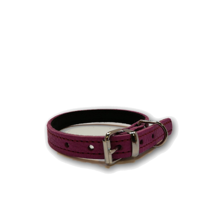 Småhundshalsband 25cm Röd