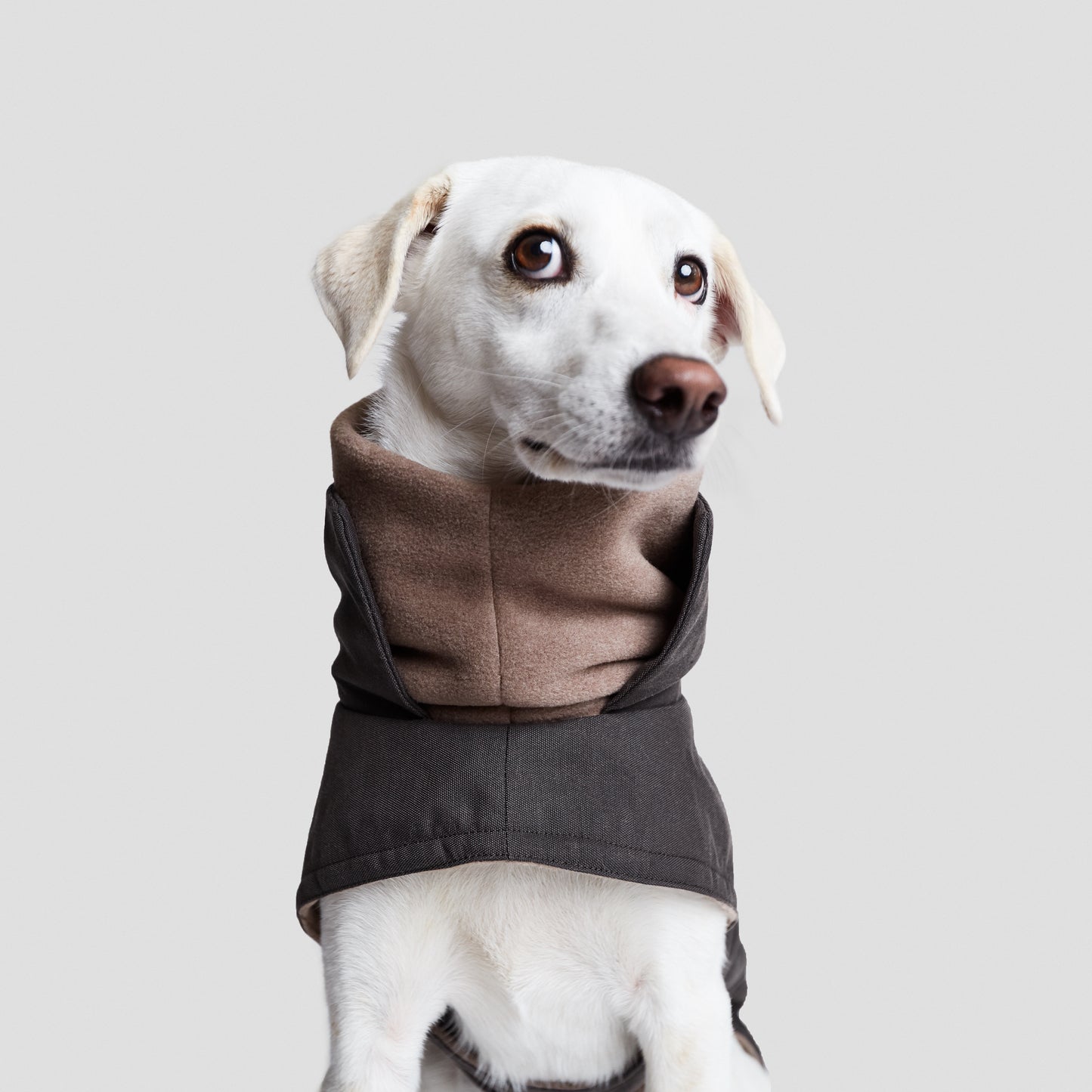 Charlie-And-Friends-Hundprodukter-Hundkläder-Hundjacka-Grå-Front