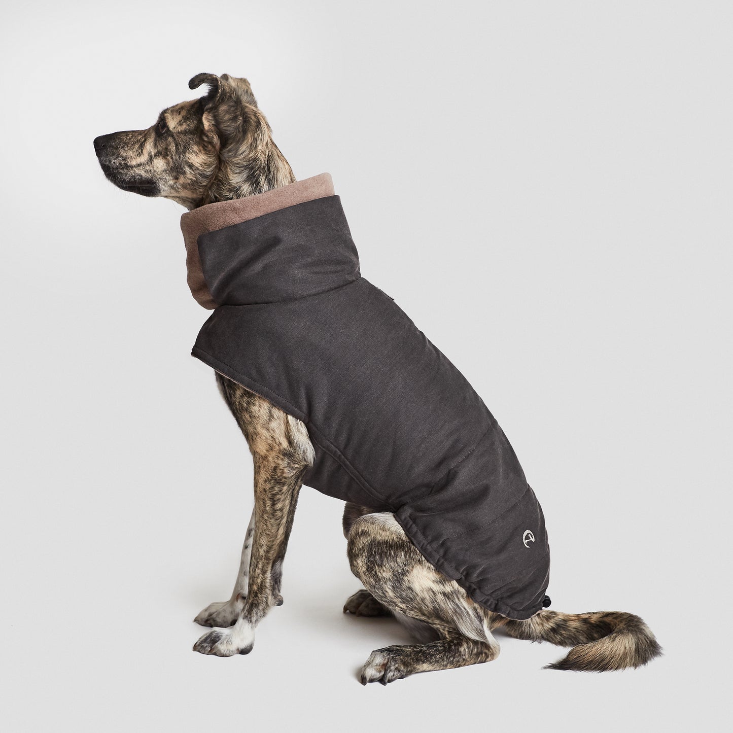 Charlie-And-Friends-Hundprodukter-Hundkläder-Hundjacka-Grå-Front