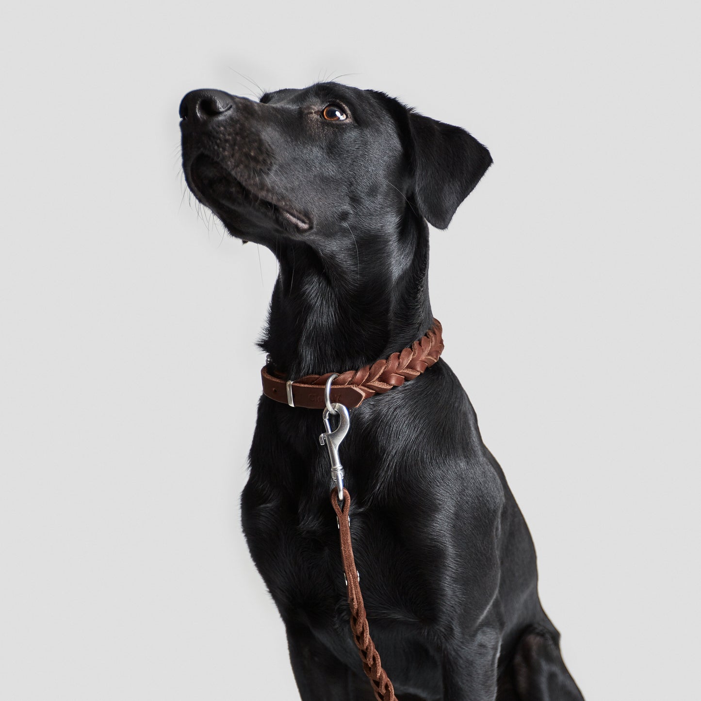 Charlie-and-friends-hundprodukter-hundhalsband-brunt-läder-front