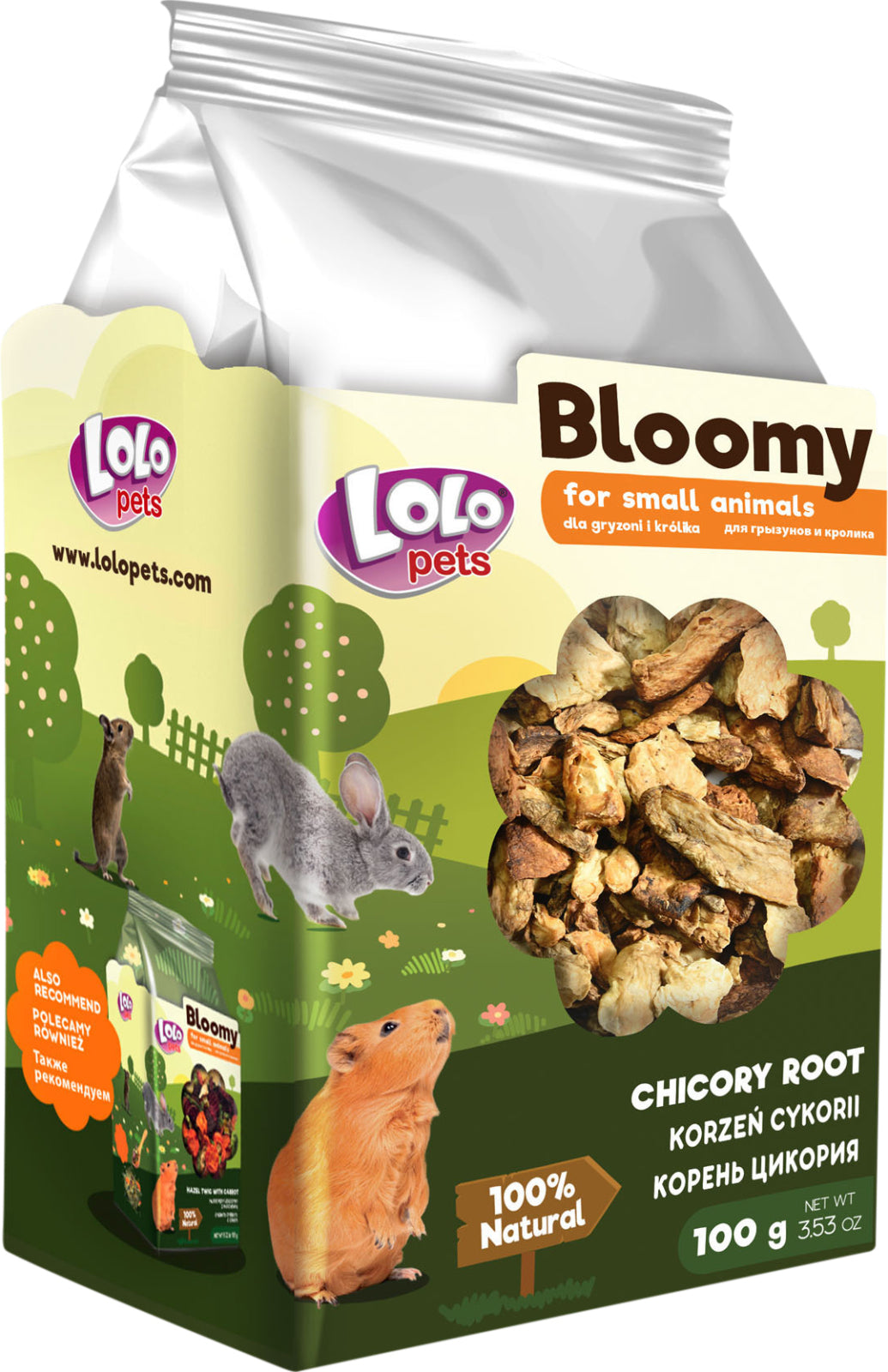 Bloomy Chicory Root for rodents and rabbits