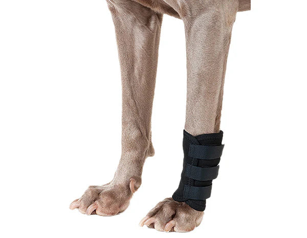 Back on Track Hundbenskydd Svart