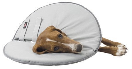 Hundkrage, mjuk, XS: 23-27 cm/13cm, gr