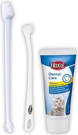 Tandvrdsset katt m tandkrm, 2 tandborstar