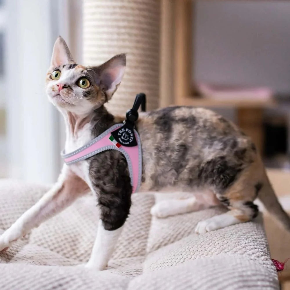 Tre Ponti-sele Snöre Basic Rosa för hund och katt