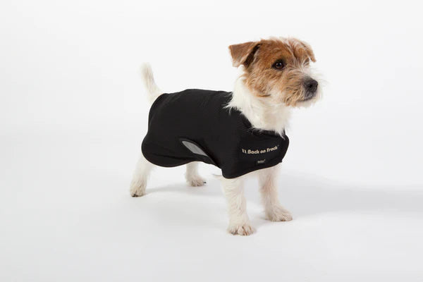 Back on Track Hundnättäcke Hugo