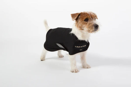 Back on Track Hundnättäcke Hugo