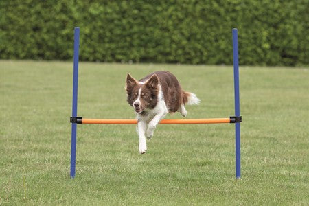 Agility Hopphinder Plast 123 x 115cm