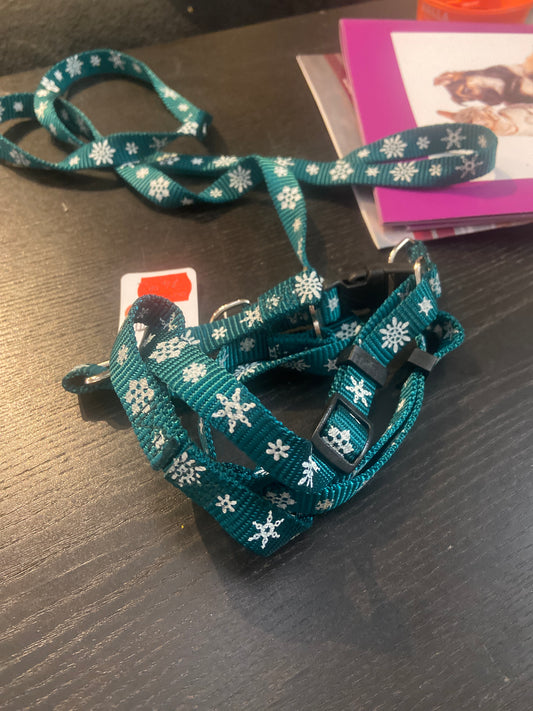 Grönt med vita stjärnor Dog exclusive