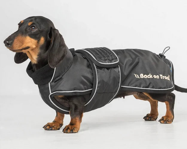 Back on track Hundtäcke Tax