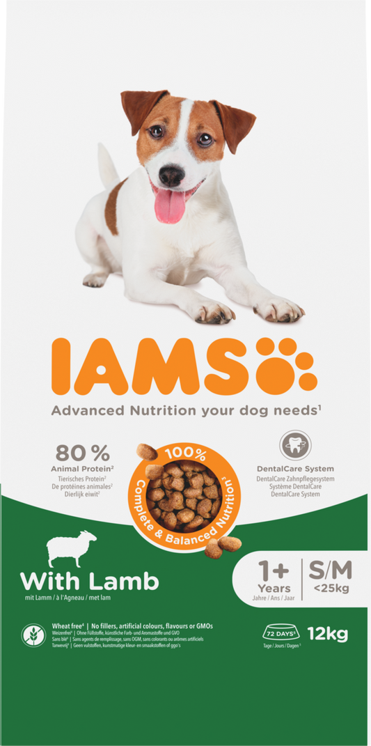 Iams Dog Adult S/M Lamb 12kg