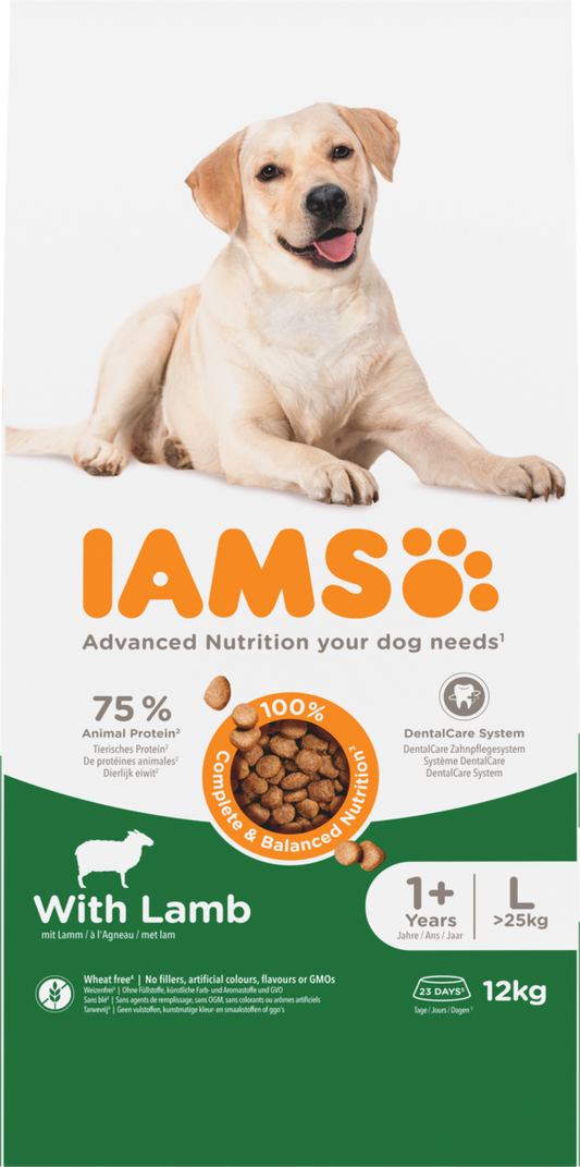 Iams Dog Adult Large Lamb12kg