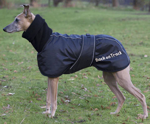 Back on Track Hundtäcke Whippet