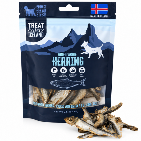 Hundgodis Iceland Dried Whole Herring 70gr