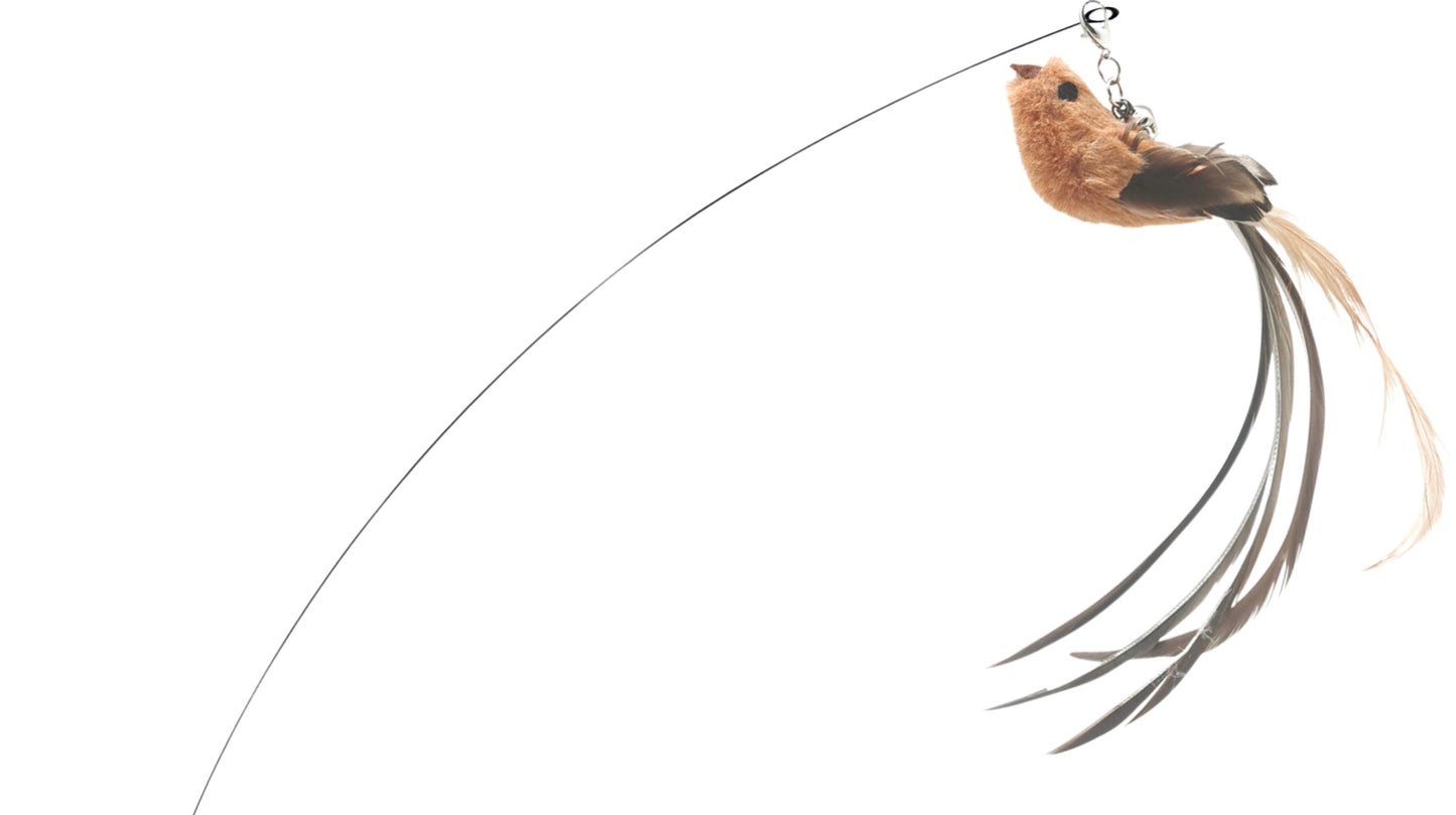 Companion Cat, figurer fr fjdervippa