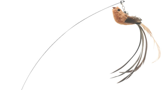 Companion Cat, figurer fr fjdervippa