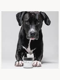 WAP: 2 - Fästingsalva