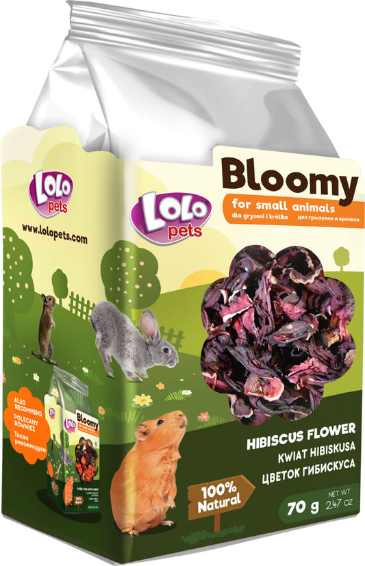 Bloomy Hibiscus flower for rodents and rabbits