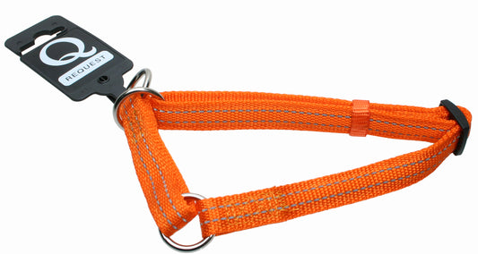 Hundhalsband Halvstryp 20-35cmx10mm Orange