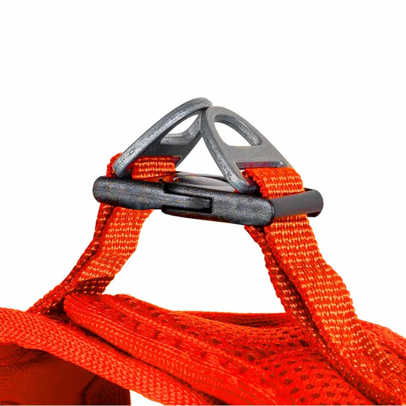 Hundsele Air-mesh Orange