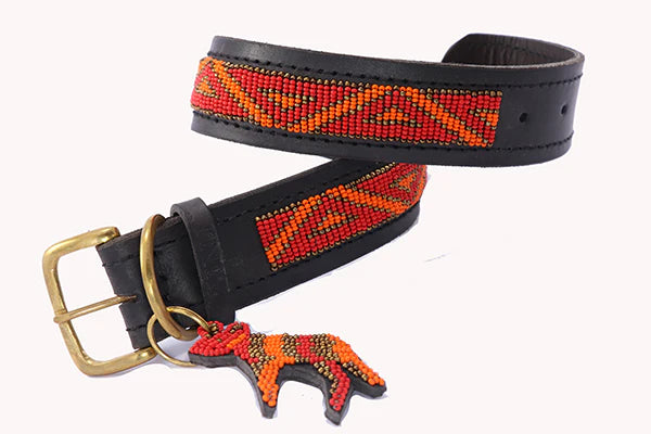 Hundhalsband  Kabaka Neon