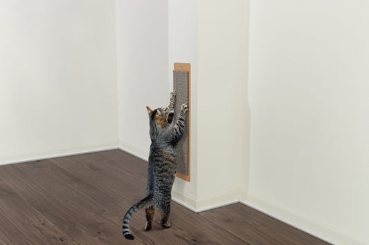 Klösbräda Jumbo Grå 70x17 cm