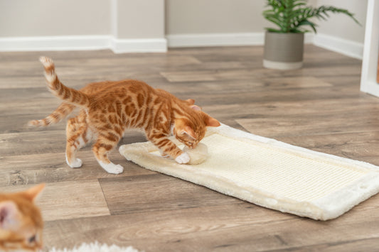 Klösmatta 55x35cm Beige