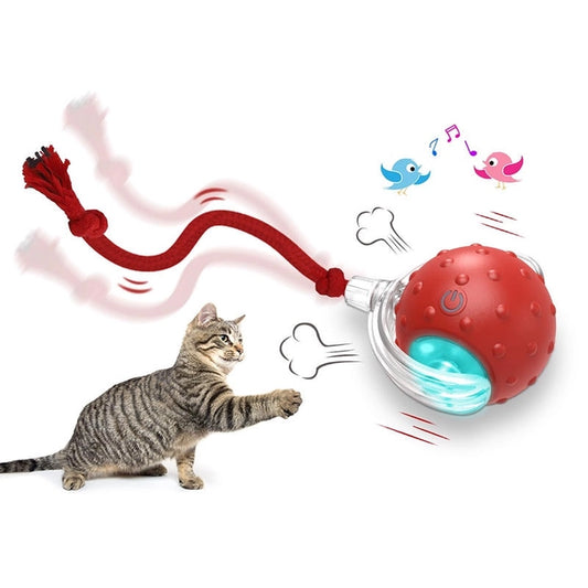 Interactive kattleksak