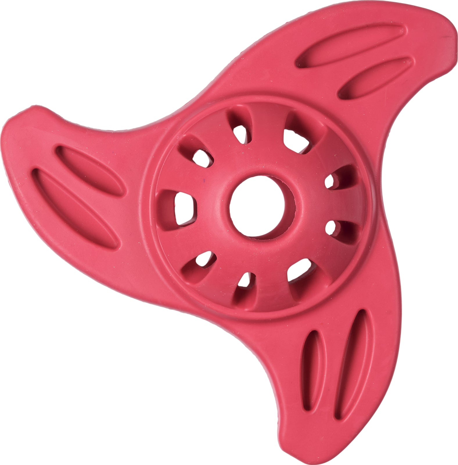 Companion biteleke rymdskepp