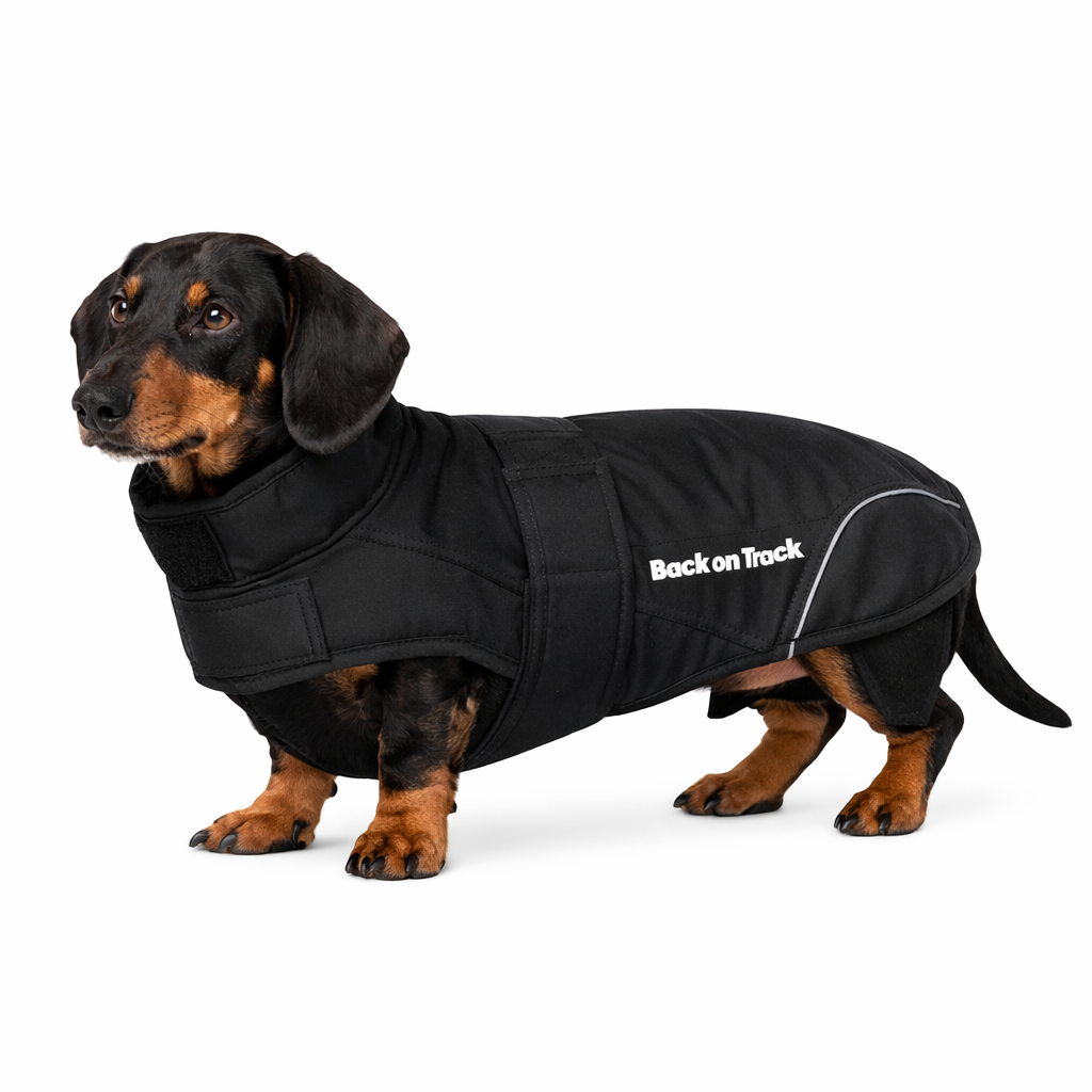 Back on track Hundtäcke Tax