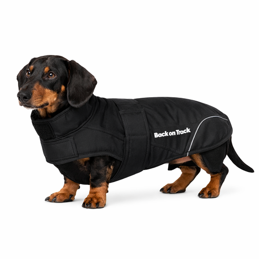 Back on track Hundtäcke Tax