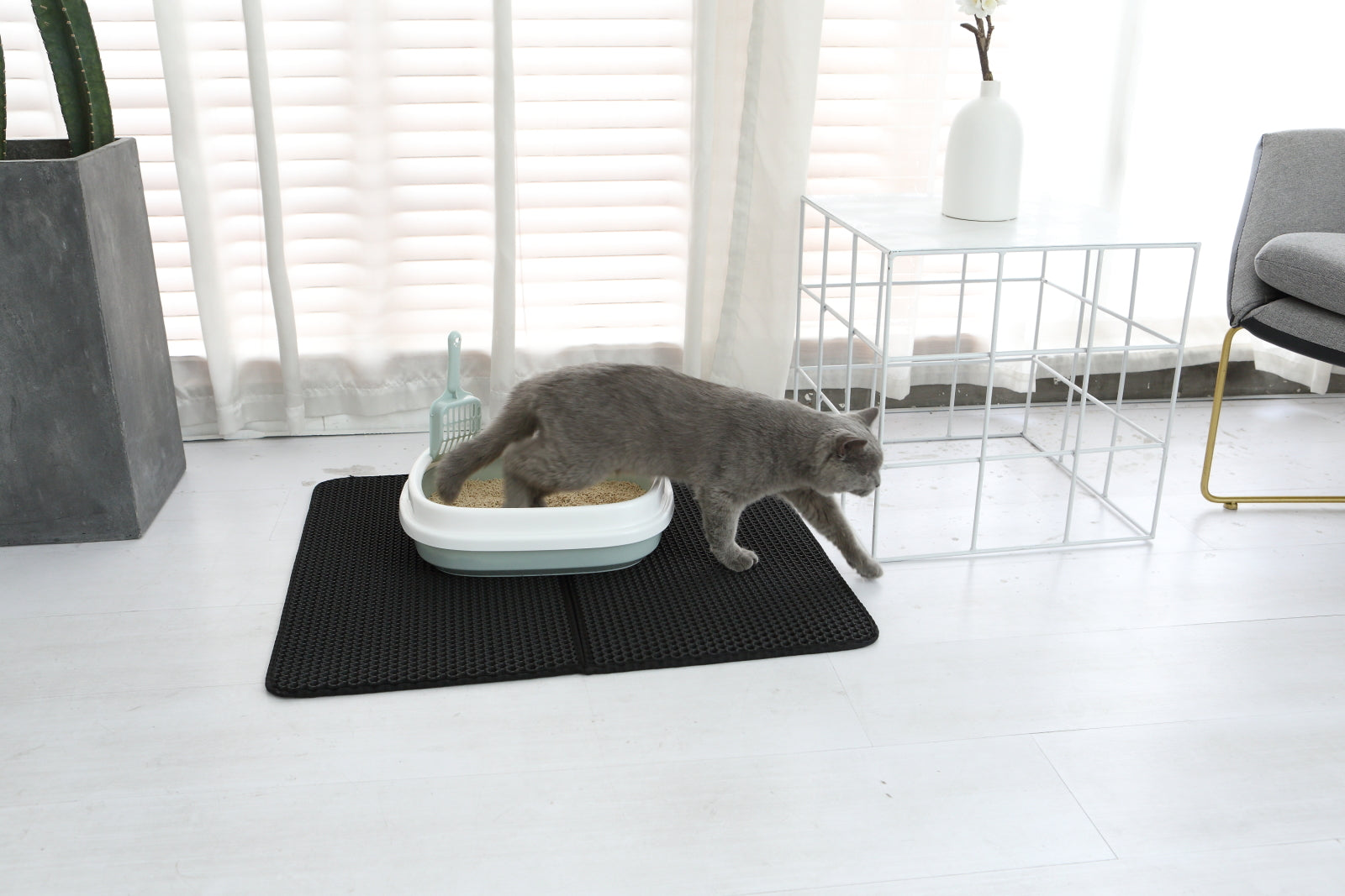 Companion Cat hopfllbar kattldematta