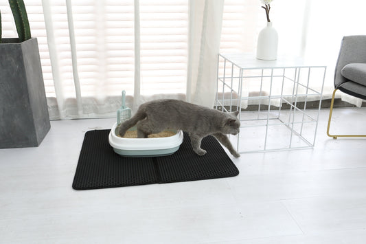 Companion Cat hopfllbar kattldematta