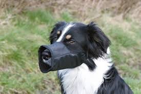 Munkorg nylon L kort 30cm