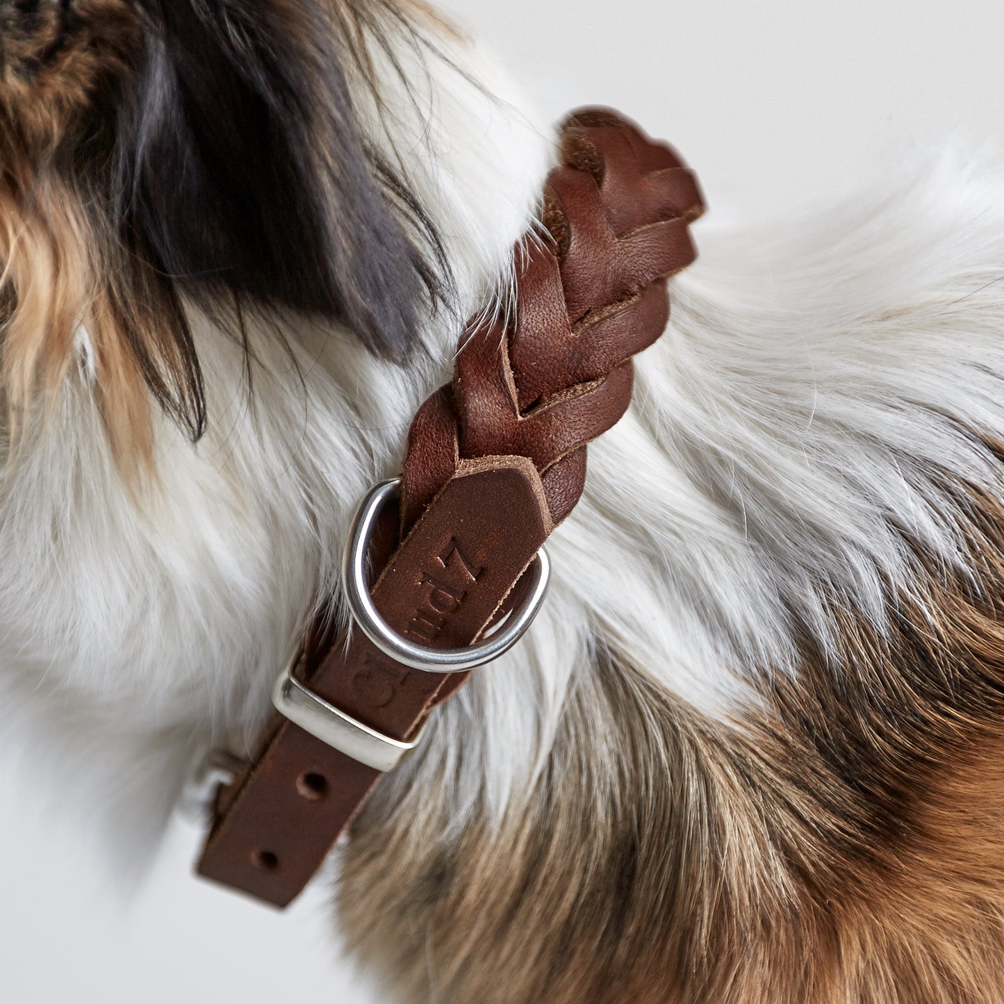 Charlie-and-friends-hundprodukter-hundhalsband-brunt-läder-front