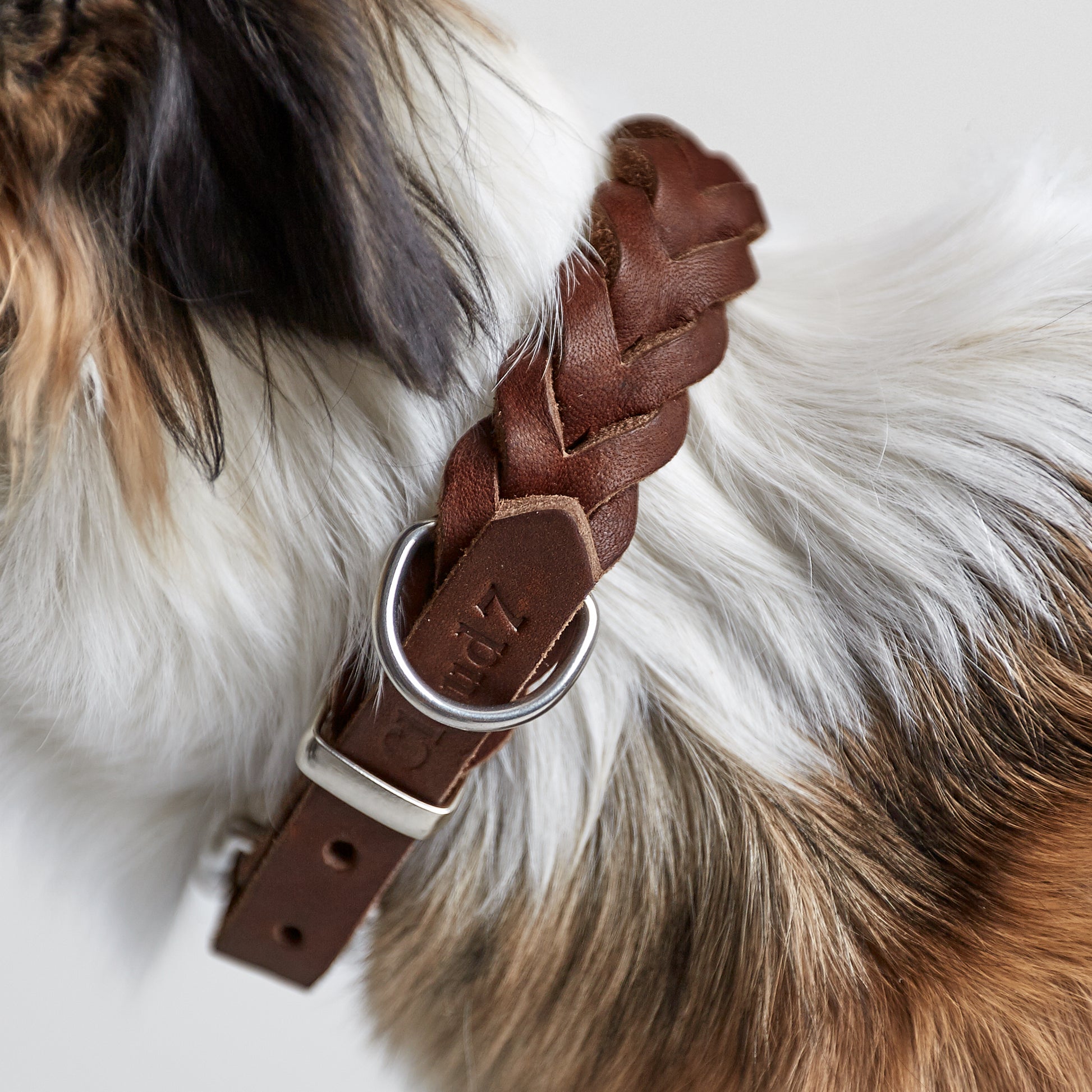 Charlie-and-friends-hundprodukter-hundhalsband-brunt-läder-front
